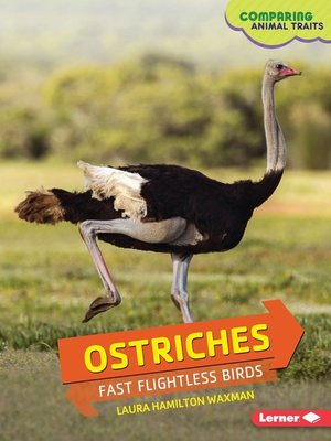 cover image of Ostriches